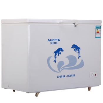 澳柯玛（AUCMA）BC/BD-323NE 323升商用冷柜 